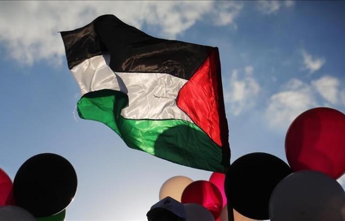 Hacia una prohibición de la bandera palestina en las instituciones públicas