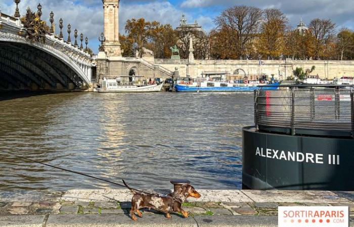 Paris Sausage Walk 2024: ¡el paseo del perro salchicha regresa a la capital este fin de semana!