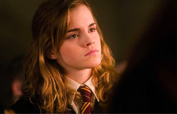 Te conviertes en Ministro de Magia si obtienes 5/5 en este cuestionario sobre Hermione Granger.