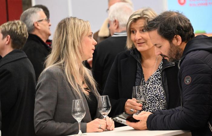 Vinos de Borgoña: Bienvenidos al reino de las degustaciones placenteras en Beaune