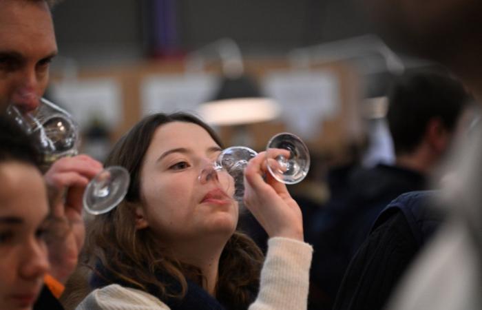 Vinos de Borgoña: Bienvenidos al reino de las degustaciones placenteras en Beaune