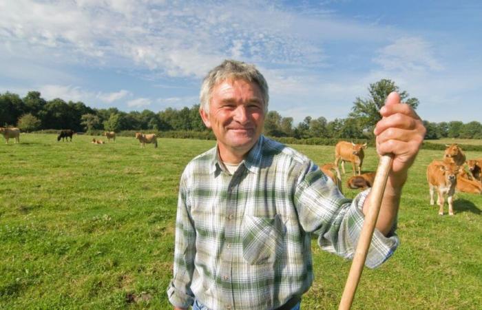 Varias ofertas de adquisición de explotaciones agrícolas propuestas por la Cámara de Agricultura de Dordoña.