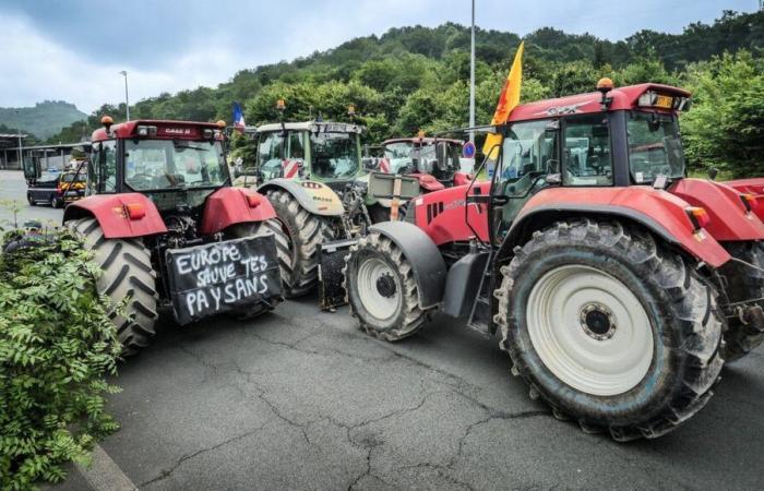 Crisis agrícola: testimonios compartidos de agricultores y apicultores del Norte