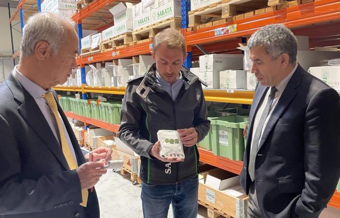 DATO DE LA TARDE La Región hace un recorrido por las empresas e inspiraciones japonesas en Gard