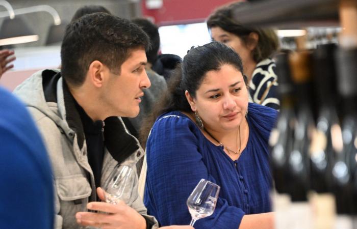 Vinos de Borgoña: Bienvenidos al reino de las degustaciones placenteras en Beaune