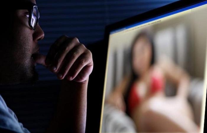 Por qué ya no se puede acceder a determinados sitios pornográficos desde Francia