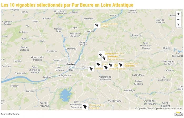 MAPA. Muscadet, a través de estas diez fincas vinícolas del Loira Atlántico