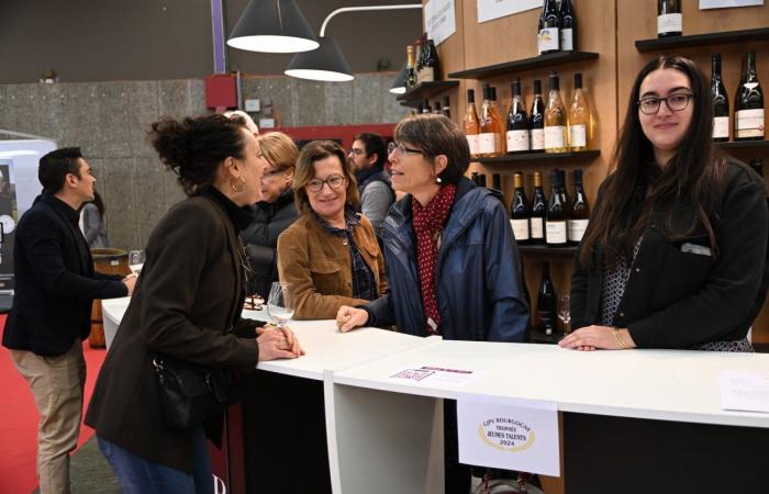 Vinos de Borgoña: Bienvenidos al reino de las degustaciones placenteras en Beaune