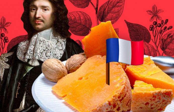 VIDEO. Pero ¿por qué la mimolette es naranja?