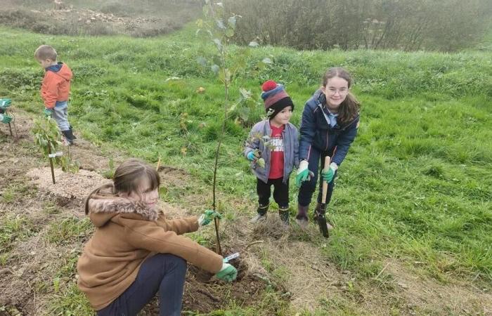 Primeras lecciones de jardinería en Val des Écoliers en Lassay-les-Châteaux