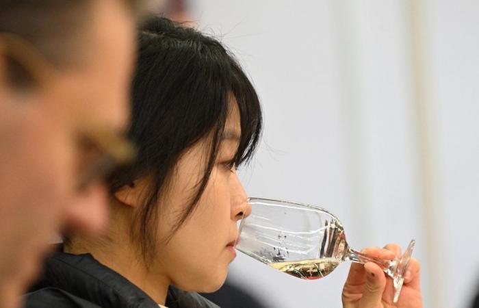 Vinos de Borgoña: Bienvenidos al reino de las degustaciones placenteras en Beaune