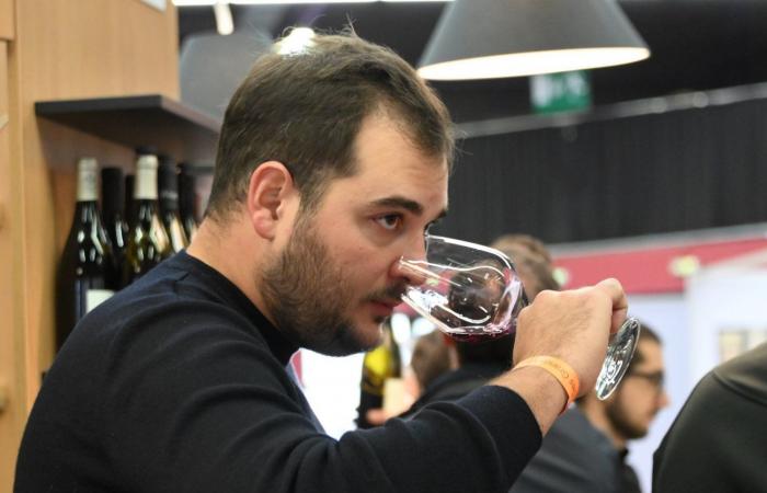 Vinos de Borgoña: Bienvenidos al reino de las degustaciones placenteras en Beaune