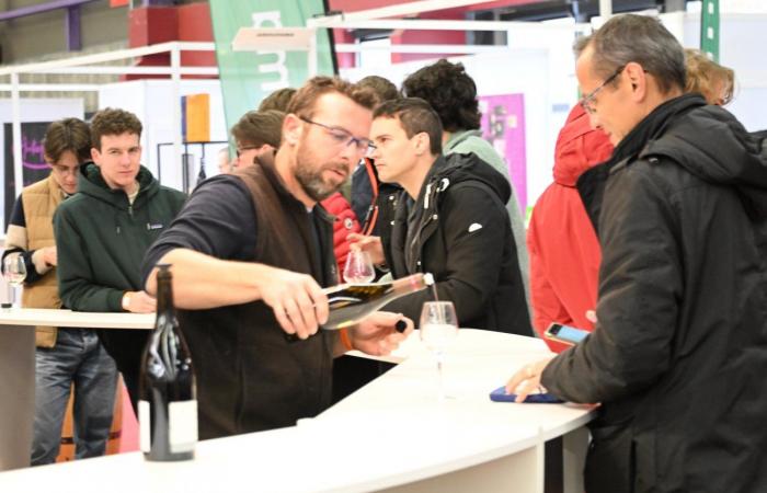 Vinos de Borgoña: Bienvenidos al reino de las degustaciones placenteras en Beaune