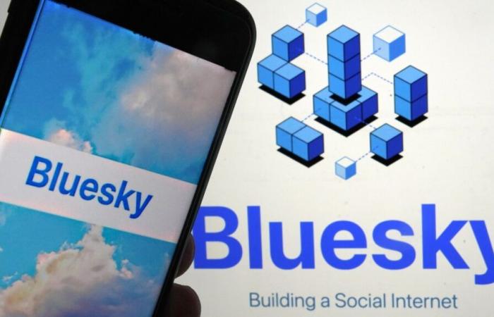 ¿Qué es Bluesky, la plataforma social que acoge a los usuarios de X que huyen?