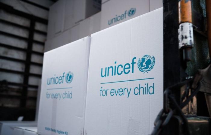 Enfermera de UNICEF escapa tras seis años de cautiverio con yihadistas