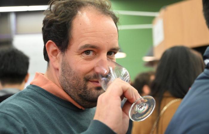 Vinos de Borgoña: Bienvenidos al reino de las degustaciones placenteras en Beaune