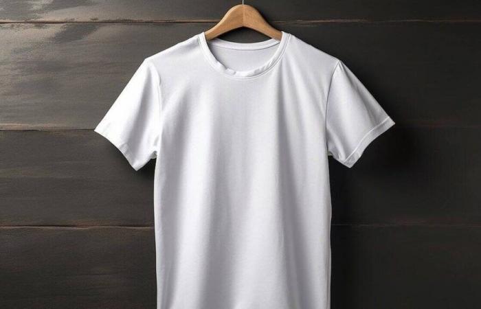 La primera camiseta fabricada con poliéster reciclado procedente de textiles llega de Puy-de-Dôme