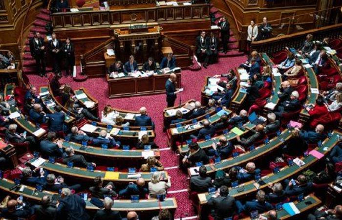 Las impactantes propuestas del grupo centrista en el Senado.