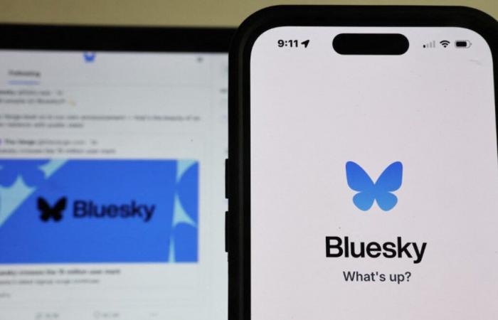 Redes sociales: Bluesky gana 1 millón de usuarios en 24 horas, señal de desconfianza hacia la X de Elon Musk – 15/11/2024 a las 13:50