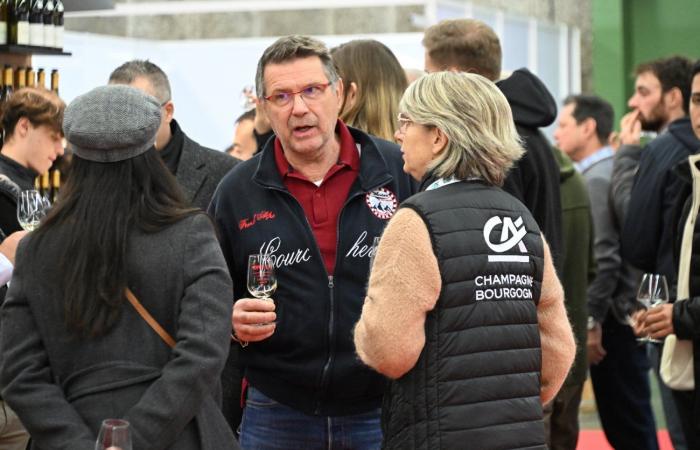 Vinos de Borgoña: Bienvenidos al reino de las degustaciones placenteras en Beaune