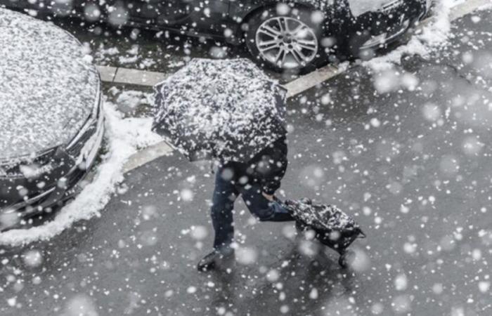 Nieve, lluvia, fuerte viento: los detalles del día a día de la agitación de la próxima semana