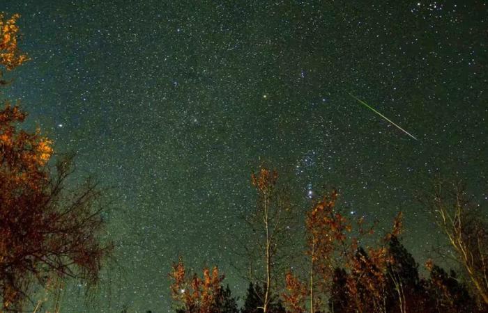 Este fin de semana caerá una lluvia de estrellas fugaces sobre Suiza