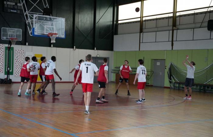 Deporte universitario: 3 medallas de oro en baloncesto, fútbol y balonmano para los alumnos de Le Creusot