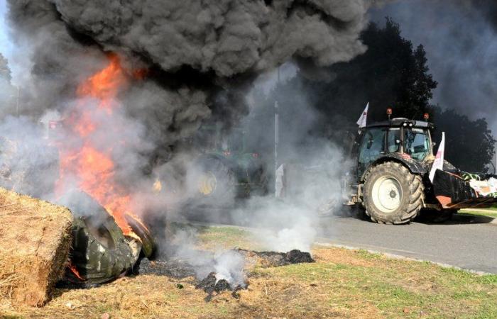 Ira de los agricultores: “Incendios en lugares estratégicos pero lejos de los hogares”, anuncia la FDSEA 31