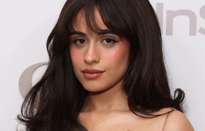 Camila Cabello toma una decisión inesperada, sus fans están desconsolados