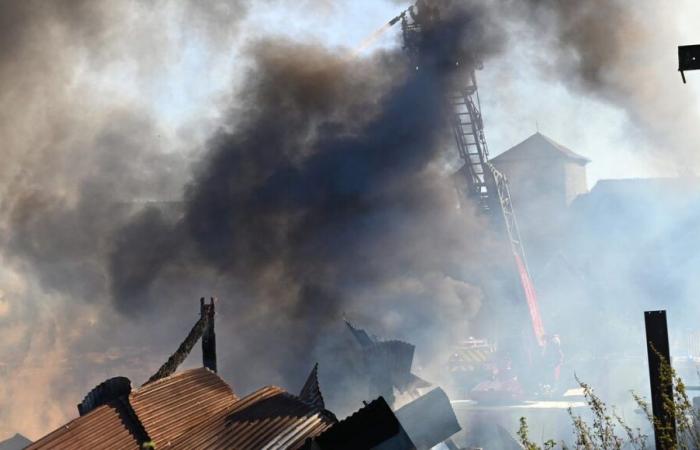 Alto Vienne: un aserradero arrasado por un incendio en Meuzac