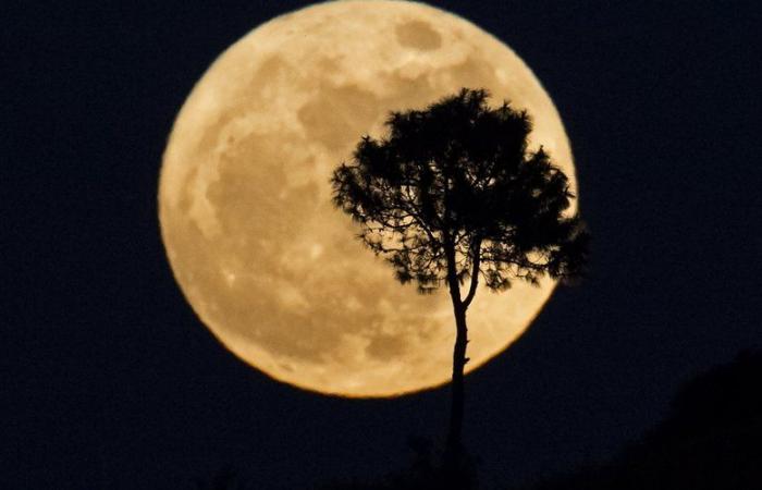 Super Beaver Moon: qué es este fenómeno, cómo observarlo, a qué hora… Todo lo que necesitas saber sobre la última superluna del año