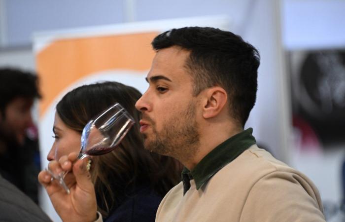 Vinos de Borgoña: Bienvenidos al reino de las degustaciones placenteras en Beaune