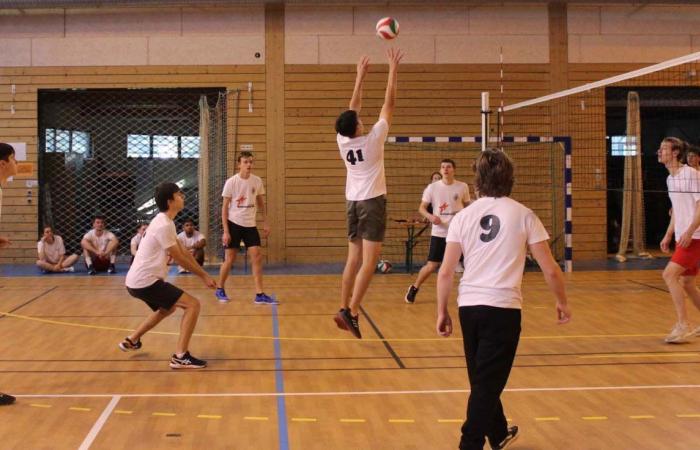 Deporte universitario: 3 medallas de oro en baloncesto, fútbol y balonmano para los alumnos de Le Creusot