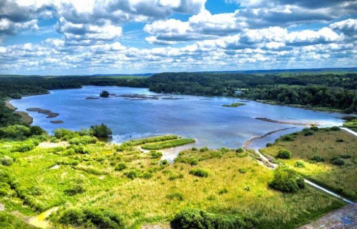 Valonia recorta su presupuesto para la biodiversidad