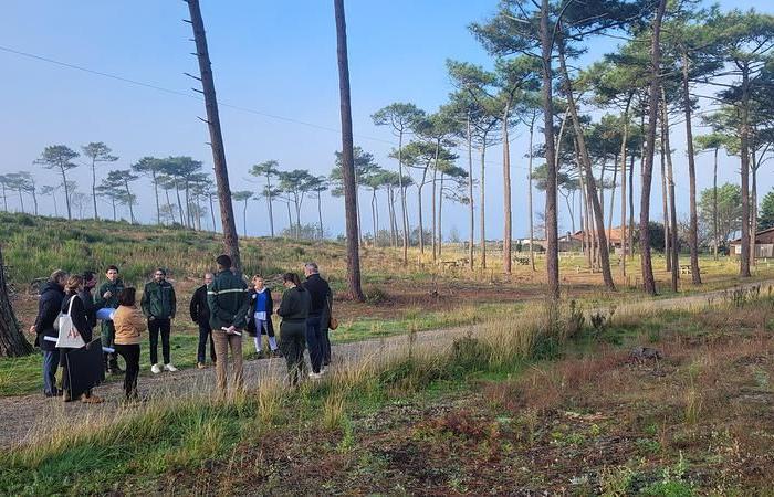 cómo prepararse para el regreso del público al bosque de La Teste