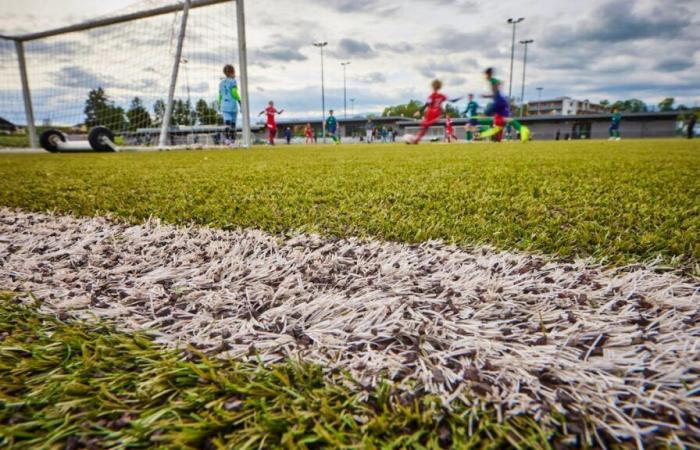 La carísima renovación de los campos de fútbol sintéticos