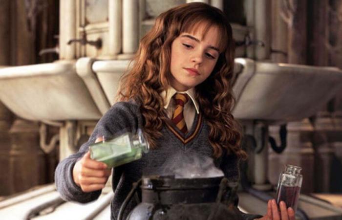 Te conviertes en Ministro de Magia si obtienes 5/5 en este cuestionario sobre Hermione Granger.