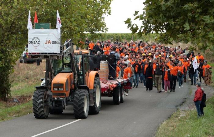 Crisis agrícola: “El Mercosur se sumará a los problemas existentes”, preocupa la JA de Charente-Maritime