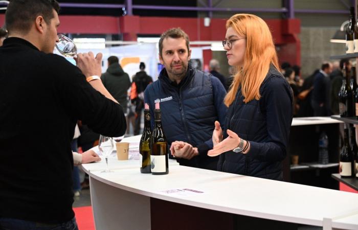 Vinos de Borgoña: Bienvenidos al reino de las degustaciones placenteras en Beaune