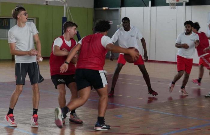 Deporte universitario: 3 medallas de oro en baloncesto, fútbol y balonmano para los alumnos de Le Creusot