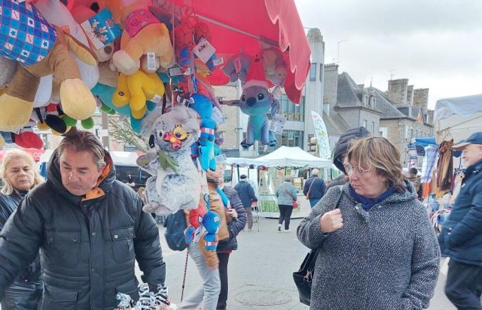 Con 100.000 visitantes, la Feria de Saint-Martin en Saint-Hilaire, la más grande de La Mancha