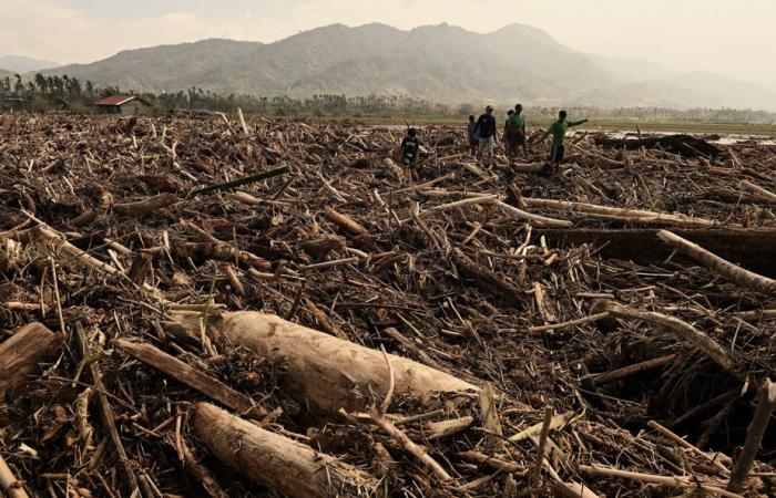 Filipinas | El tifón Usagi causa daños importantes