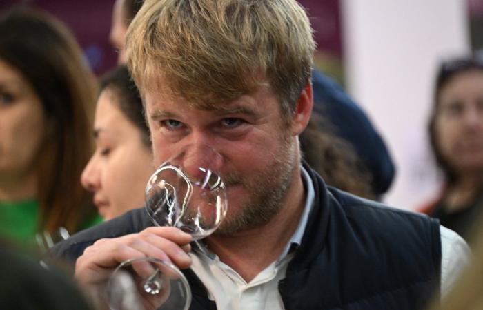 Vinos de Borgoña: Bienvenidos al reino de las degustaciones placenteras en Beaune