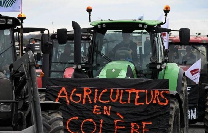 Campesinos convocados a manifestarse contra el Mercosur en Vendée