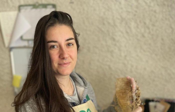 Con Fanny, cuidadora de animales del Lot, las mudas de reptiles se convierten en joyas sorprendentes