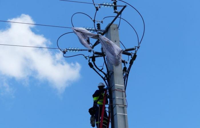 En octubre los precios subieron un 0,7% debido a las tarifas eléctricas