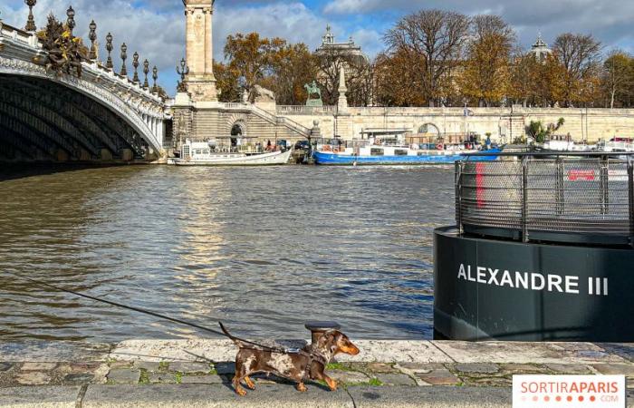 Paris Sausage Walk 2024: ¡el paseo del perro salchicha regresa a la capital este fin de semana!