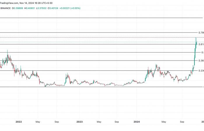 Dogecoin se enfrenta a una desaceleración: ¿se espera una caída?