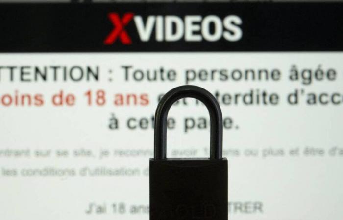 Cuatro sitios comienzan a ser bloqueados en Francia.