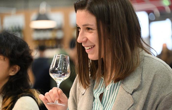 Vinos de Borgoña: Bienvenidos al reino de las degustaciones placenteras en Beaune